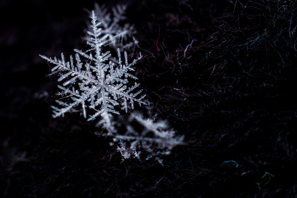 Big Snowflake by rayas