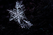 6th Jan 2014 - Big Snowflake