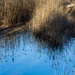 Winter sky reflection by rachel70
