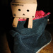 Danbo's Diary - 5th Jan: Looking out of the shoe by justaspark