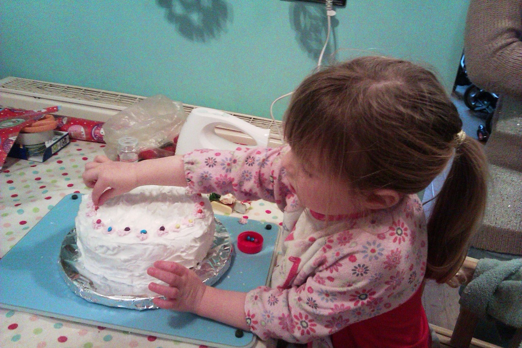 Decorating the Christmas cake by jennymdennis