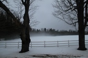 6th Jan 2014 - Snow Fog