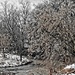 A Winter's Stream by digitalrn