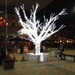 Tree of light by jeff