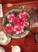 8th Jan 2014 - A bowl full of camellias saved before the big freeze yesterday from our front garden