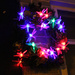 088 dragon fly wreath fighting off the cold by hellie