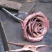 Copper rose by maggie2