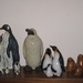 My Penguin Shelf by susiemc