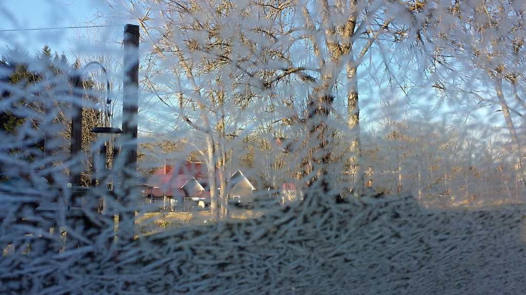 Frosty Morning by randystreat