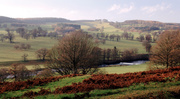7th Jan 2014 - Chatsworth Landscape