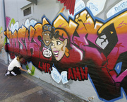 9th Jan 2014 - Street Art - Day 9 - Work in progress