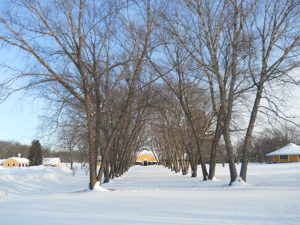 St James Farm in winter by kchuk