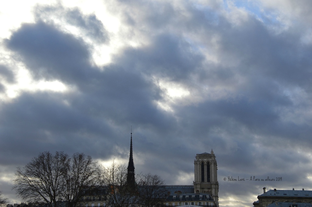 Notre Dame de Paris  by parisouailleurs