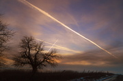 8th Jan 2014 - Sky Lines
