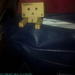 Danbo's Diary - Jan 8: Packing things by justaspark