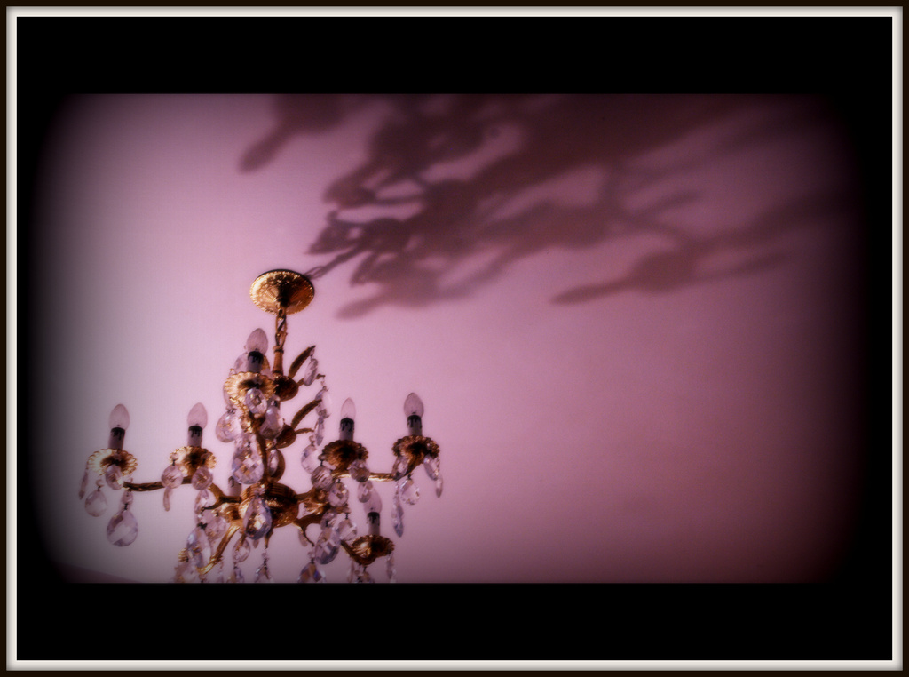 Day 9:  Chandelier and Shadows by sheilalorson