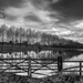 flooded fields at Broughton Castle by jantan