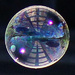 Pathway in a bubble by flyrobin