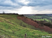 11th Jan 2014 - On the Edge of the Cotswolds