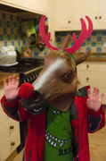 20th Dec 2013 - Rudolf