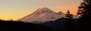 10th Jan 2014 - Mt Rainier Dusk