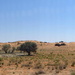 Kalahari Panorama by judithdeacon