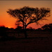Kalahari Sunset by judithdeacon