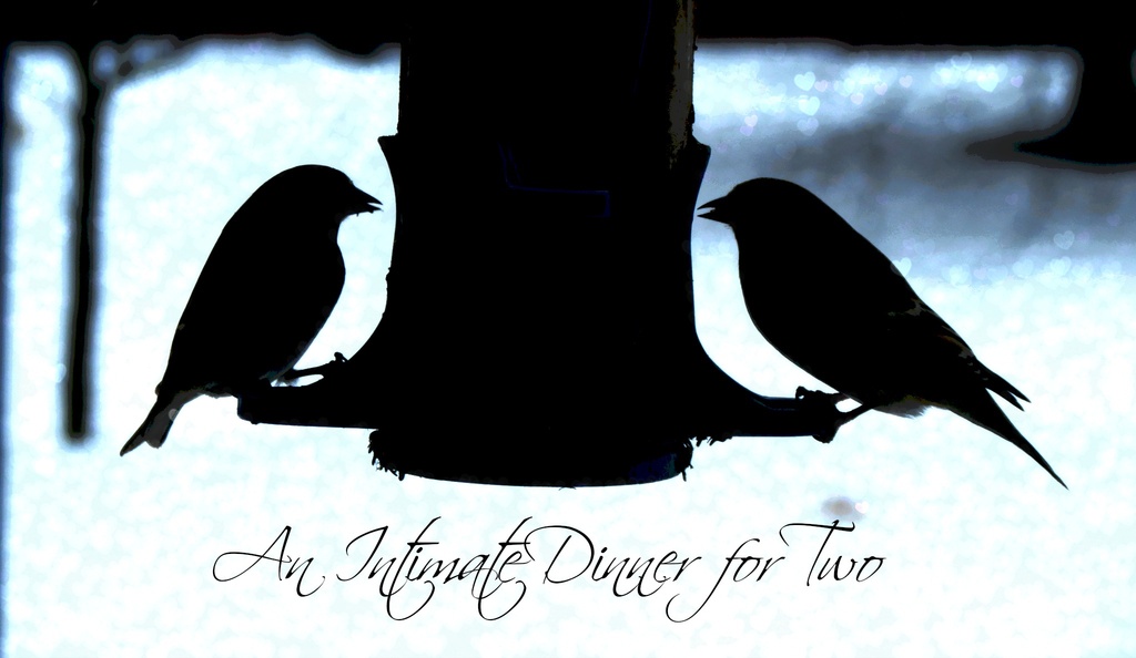 An Intimate Dinner for Two by juliedduncan
