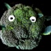 broccoli by maggiemae
