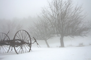 11th Jan 2014 - Foggy Implement