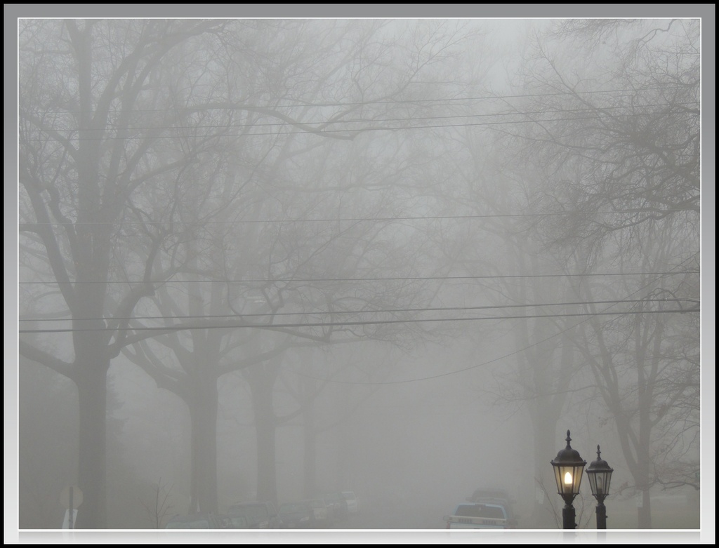 A Foggy Day in Richmond by allie912