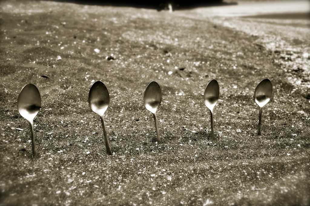 Wedding spoons by brigette