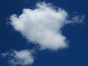 12th Jan 2014 - Clouds in a brilliant blue sky.