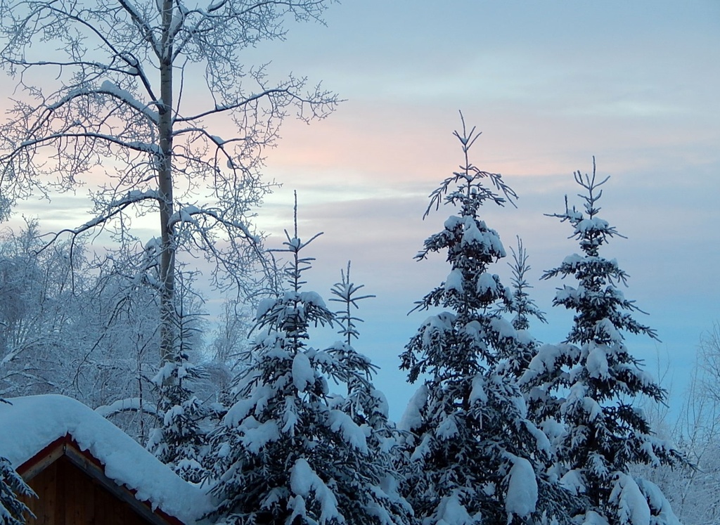 Alaska Winter Sky by bjywamer
