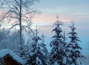 28th Dec 2013 - Alaska Winter Sky