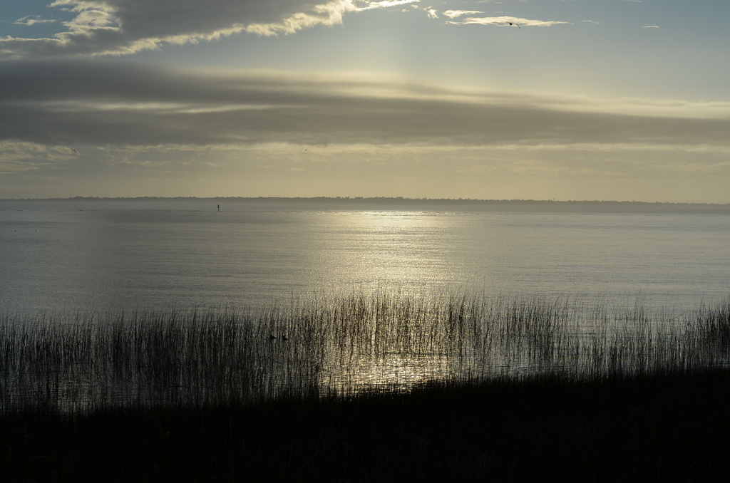 Charleston Harbor from Mount Pleasant by congaree