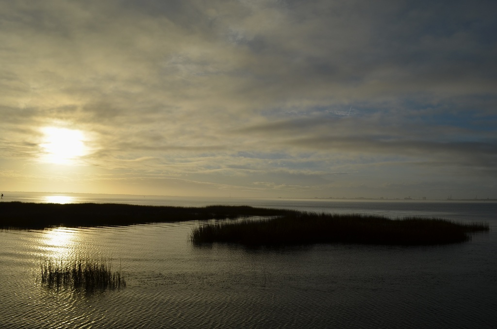Marshes looking out to Charleston Harbor from Mount Pleasant by congaree