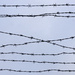 Barbed wire by harveyzone