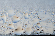 12th Jan 2014 - Water drops on the window 1