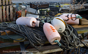 12th Jan 2014 - Lobster Buoys