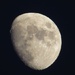 Waxing Gibbous Moon. by craftymeg