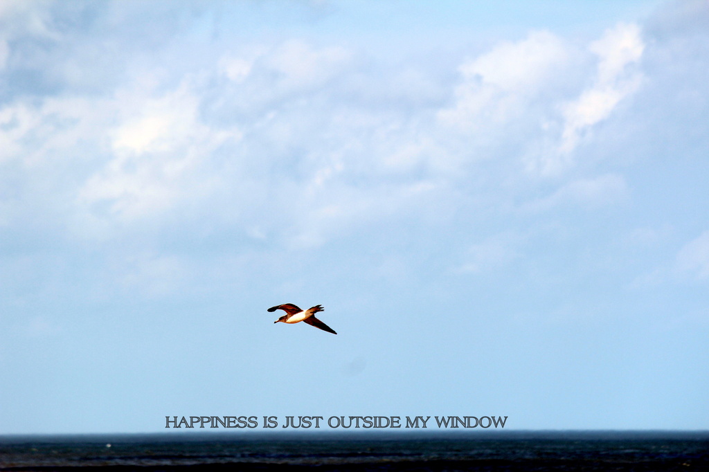 Happiness is just outside my window by joemuli