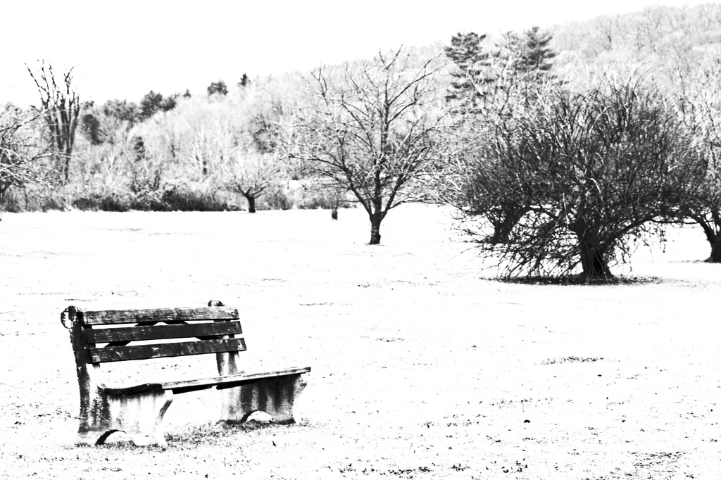 The Lonely Bench by mzzhope