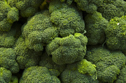 12th Jan 2014 - Broccoli - Color correction