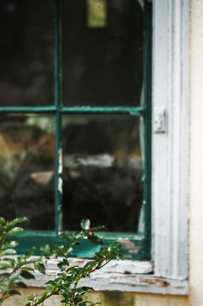 Tea House Window by mzzhope