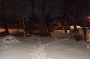 3rd Jan 2014 - Snowy Backyard