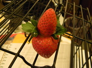 12th Jan 2014 - Strawberries Stuck Together 1-12