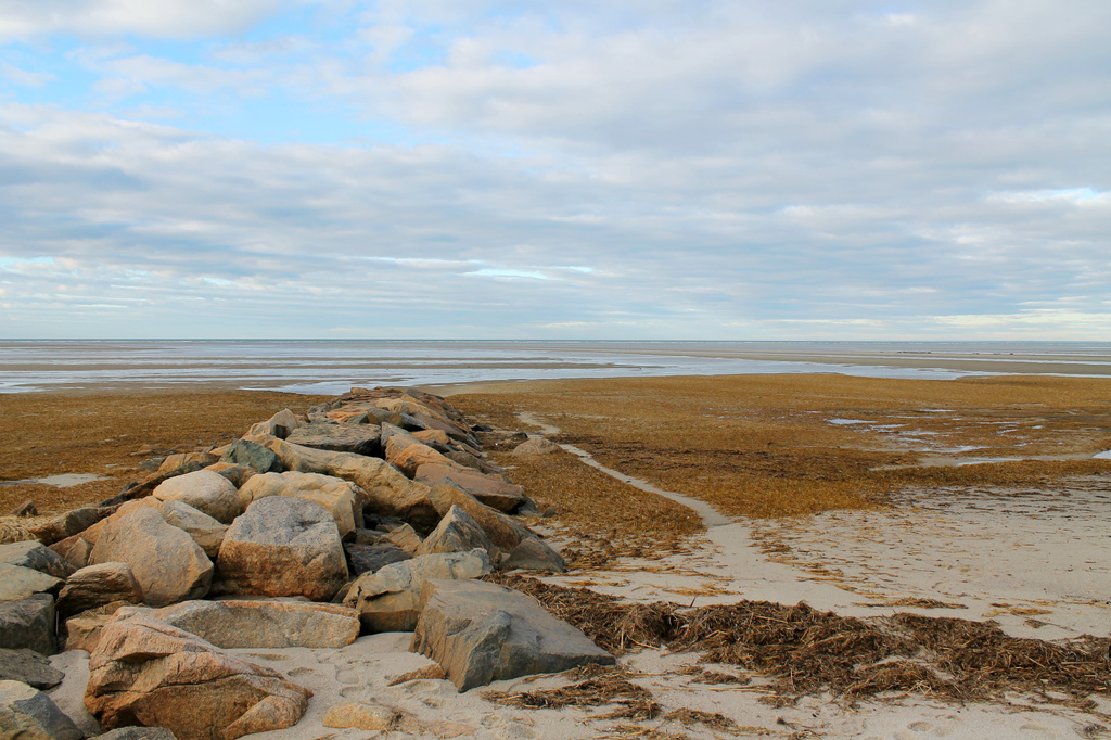 Low Tide, Cloudy Day by lauriehiggins