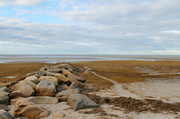 12th Jan 2014 - Low Tide, Cloudy Day