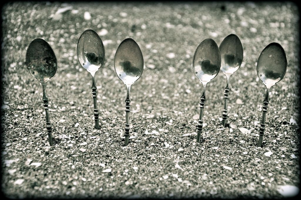 Spoon waltz by brigette